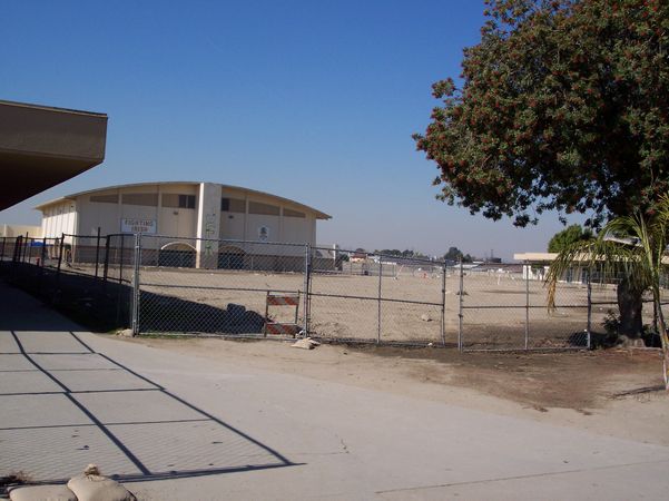 Click to see next picture