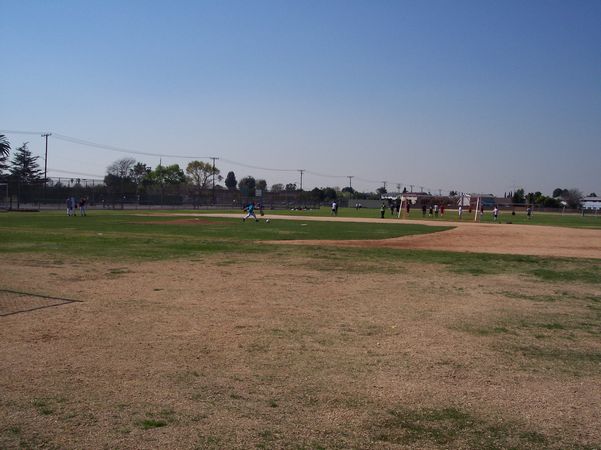 Click to see next picture